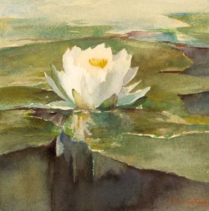 Waterlelie in zonlicht, ca. 1883