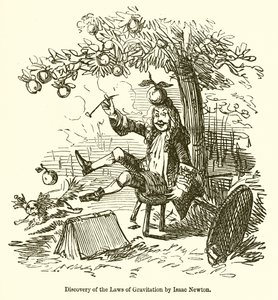 Ontdekking van de wetten van de zwaartekracht door Isaac Newton door John Leech
