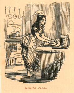Huiselijke gewoonten, 1897 door John Leech