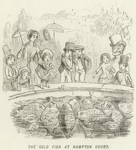 De Goudvis in Hampton Court door John Leech