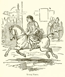 Jonge Varro