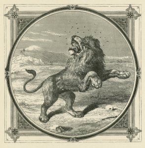 De mug steekt de ogen van de leeuw door John Leighton