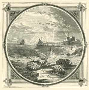 De bijter gebeten door John Leighton