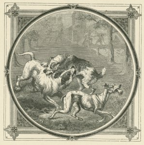 De honden en het bot (gravure) door John Leighton