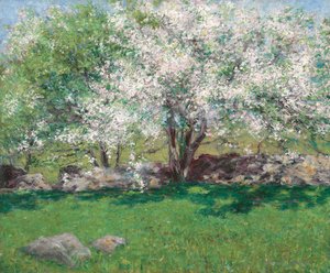 Appelbomen