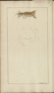 Lindsay Tekeningen Vol. VII, 24