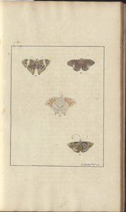 Lindsay Tekeningen Vol. VI, 42