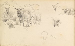 Ezel, 1824