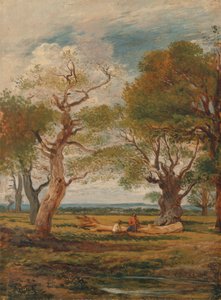 Landschap met figuren