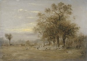 Schapen Grazend