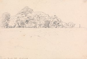 Windsor Forest door John Linnell