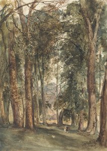 Kensington Gardens door John Martin