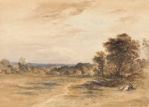 Landschap met verliefd stel