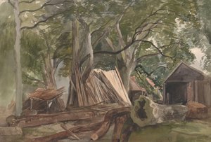 Open plek met een houtzagerij, 1847 door John Middleton