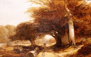 Boslandschap