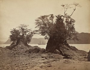 Eilanden in Limón Bay, 1871 door John Moran