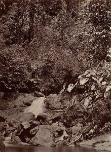Tropisch Landschap, Waterval, Limon Rivier door John Moran
