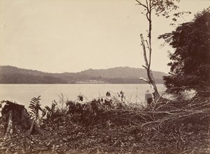 Tropisch Landschap, Darien Haven, Chipigana, 1871