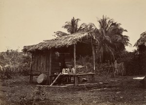 Tropisch landschap, inheems hut, Turbo door John Moran