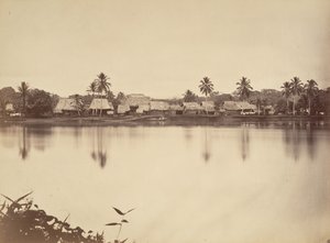 Tropisch Landschap, Santa Maria del Real, Darien, 1871 door John Moran