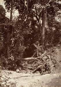 Tropisch landschap, De beek El Bano, Chipigana, 1871