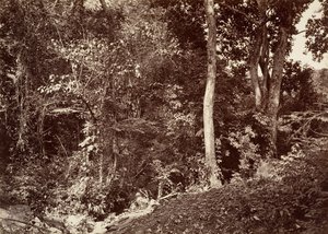 Tropisch Landschap, Uitzicht nabij Chipigana, 1871 door John Moran