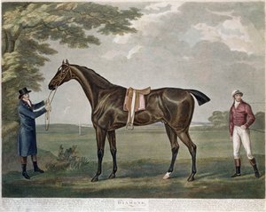 Het Renpaard Diamond, ca. 1799 door John Nott Sartorius