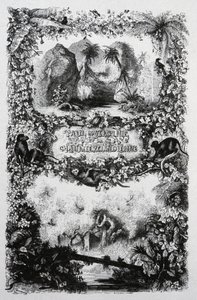 Paul en Virginia, c.1860-1870