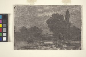 Moerassig Landschap door John Otis Adams