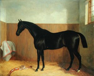 Tommy, Portret van een Paard, c.1870s door John Paul