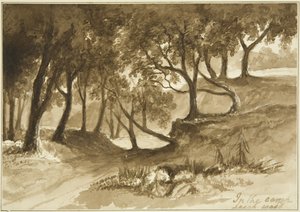 Uitzicht in het Burwalls Camp, Leigh Woods door John Reverend Eden