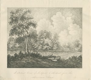 Lichfield Cathedral - West Zuidwest uitzicht (veraf) door John Robert Fernyhough
