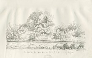 Stafford - Rivier Sow door John Robert Fernyhough