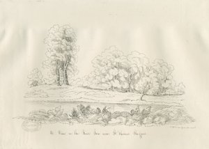 Stafford - Rivier Sow: pen en inkt tekening