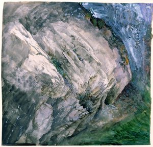 Rotsen en vegetatie bij Chamouni, 1854 door John Ruskin