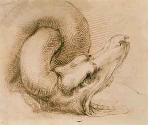 Studie van een drakenkop na Michelangelo door John Ruskin