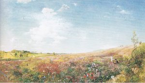 Zomerlandschap