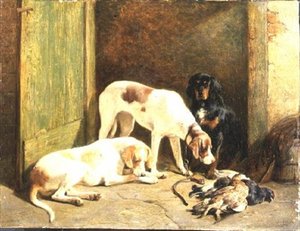 Pointers en een Gordon Setter
