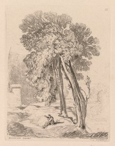 Liber Studiorum: Plaat 18, Bomen in Norwich Thorp, Norfolk, 1838