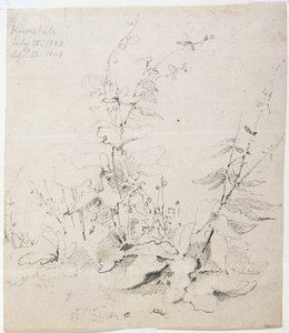 Studie van Onkruid, Kirkstall door John Sell Cotman