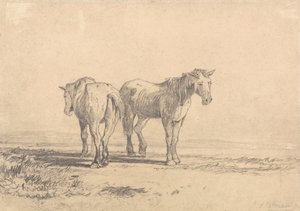 Twee oude paarden in een veld door John Sell Cotman