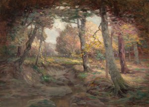 Rand van het bos