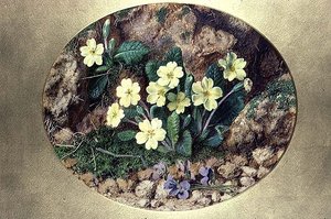 Sleutelbloemen en viooltjes