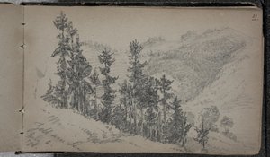 Alpenlandschap, Zell am See, Oostenrijk
