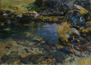 Alpenpoel door John Singer Sargent