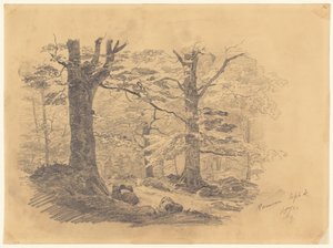 Bos, Ramsau, Duitsland, 1871