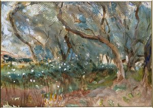 Landschap, Corfu, 1909 door John Singer Sargent