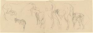 Studies voor het beslaan van cavaleriepaarden aan het front [recto], 1918 door John Singer Sargent