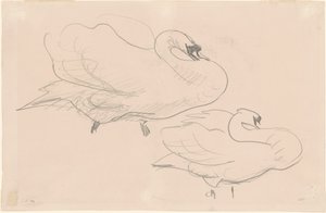 Studies van een Zwaan, 1880-1900 door John Singer Sargent
