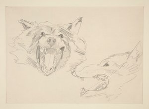 Twee Zichten van een Wolf door John Singer Sargent